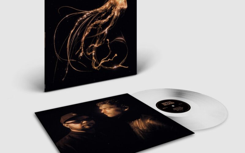 Royal Blood - Back To The Water Below (Indie Only Clear Vinyl)