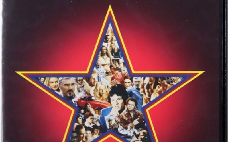 Boogie Nights [DVD]