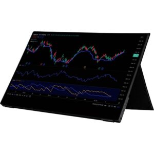 Joy-it Joy-View 15 Touchscreen monitor Energielabel: A (A - G) 39.6 cm (15.6 inch) 1920 x 1080 Pixel 16:9 USB-C, Mini-HDMI, Micro-USB, Audio, stereo (3.5 mm