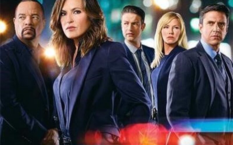 Law & Order S.V.U. - Seizoen 19 (DVD)