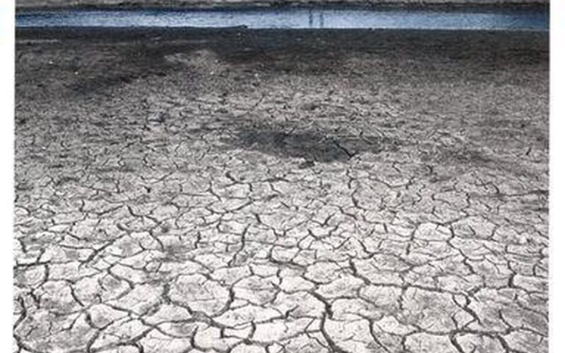Monitoring and Predicting Agricultural Drought