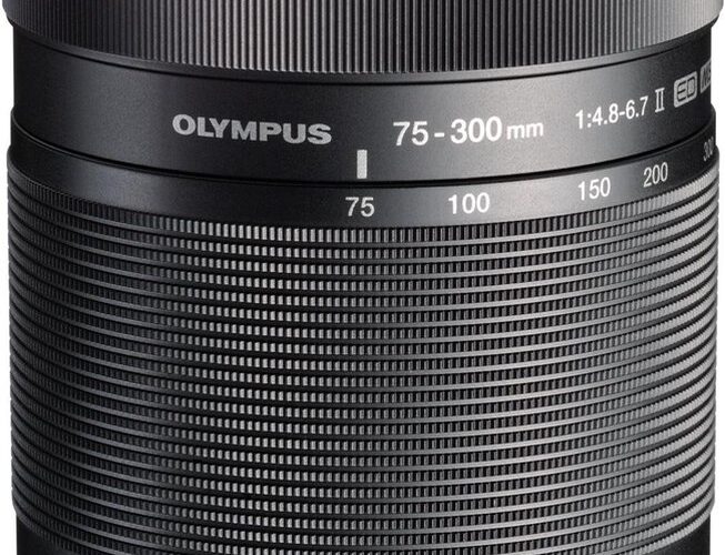 Olympus M ZUIKO Digital + ED 75-300 mm f/4.8-6.7 ED II - Zwart