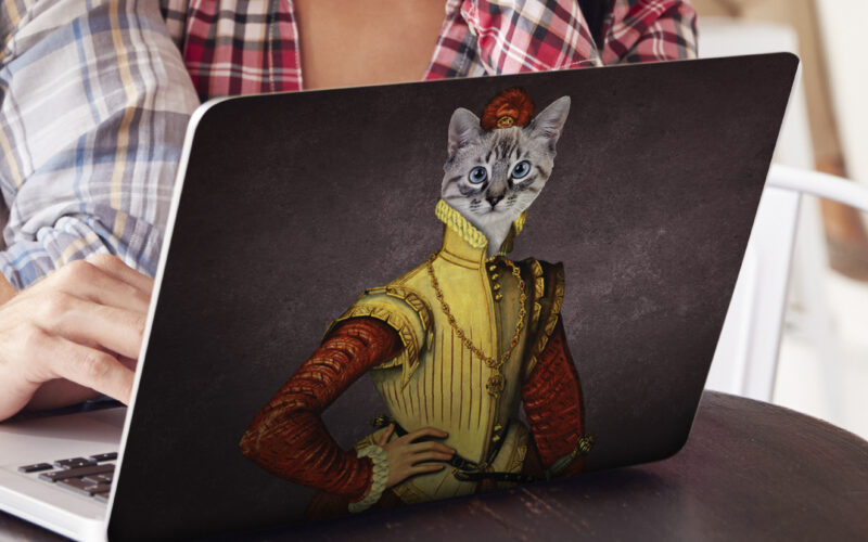 Stickers voor laptop aristocratische kat