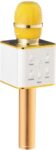 Gouden Karaoke Microfoon - ingebouwde draadloze speaker - Bluetooth Karaoke Microfoon Met Speaker en 5 filters stemvervorming echo - oplaadbaar en compatible met android en ios