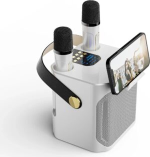 Krachtige Karaoke Bluetooth Speaker Draagbare 360 Stereo Waterdichte Draadloze Met Dubbele Microfoon Zingen Muziek Luisteren