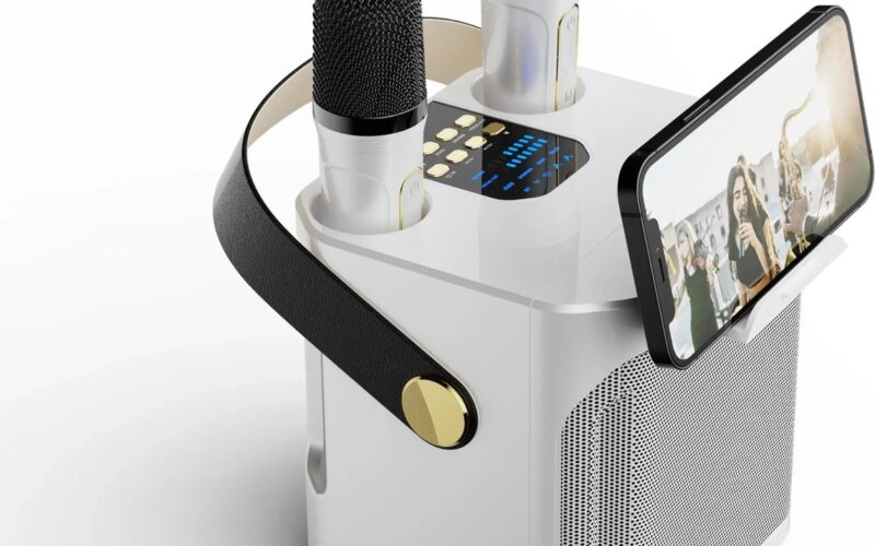 Krachtige Karaoke Bluetooth Speaker Draagbare 360 Stereo Waterdichte Draadloze Met Dubbele Microfoon Zingen Muziek Luisteren