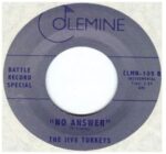 No Answer (7" Vinyl Single)