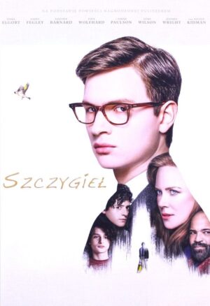 The Goldfinch [DVD]